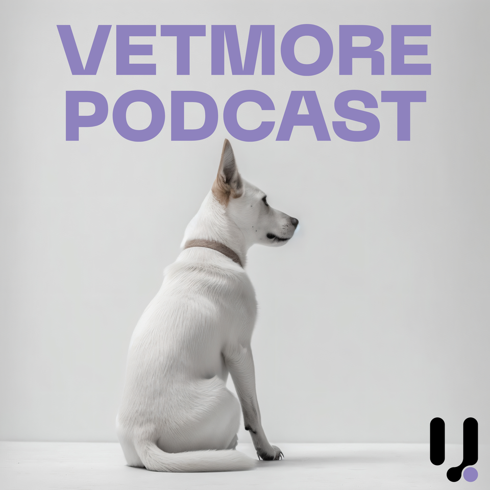 VetMore Podcast