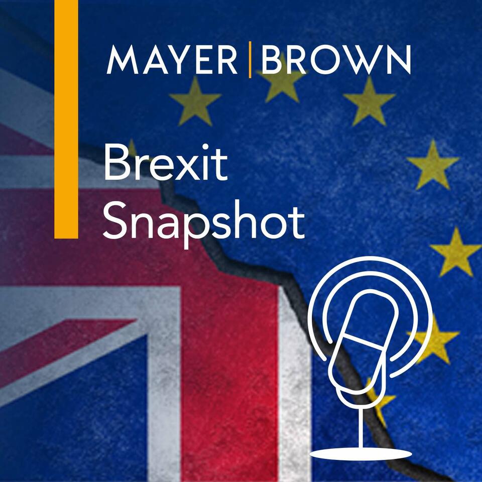 Brexit Snapshot