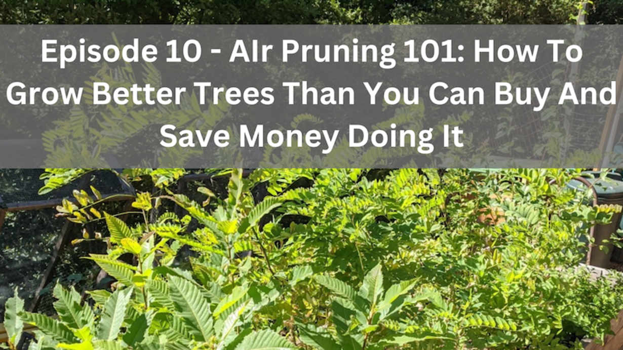 DIY Air Prune Beds – Grow Hundreds Of Healthy-Rooted Trees In A Tiny  Footprint