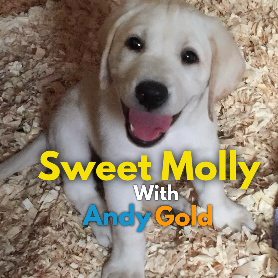 Sweet Molly