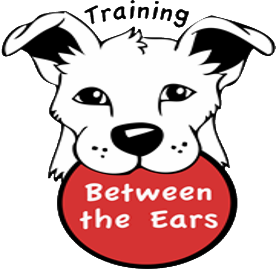 Training Between The Ears Dog Training Podcast