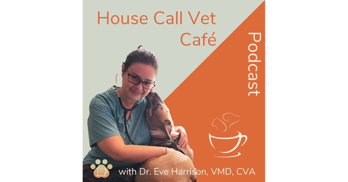 Ep. 59 Special episode from House Call & Mobile Vet Virtual conference! Hooman & Veterinary