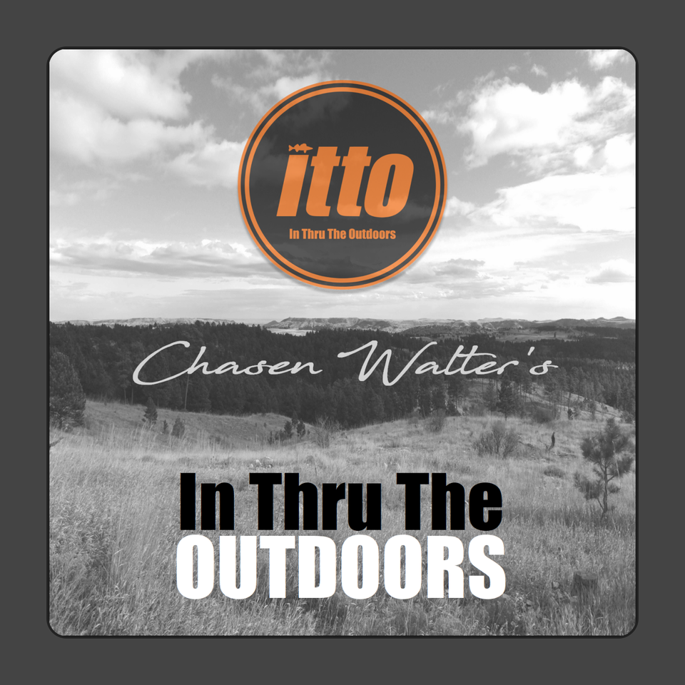 In Thru The Outdoors