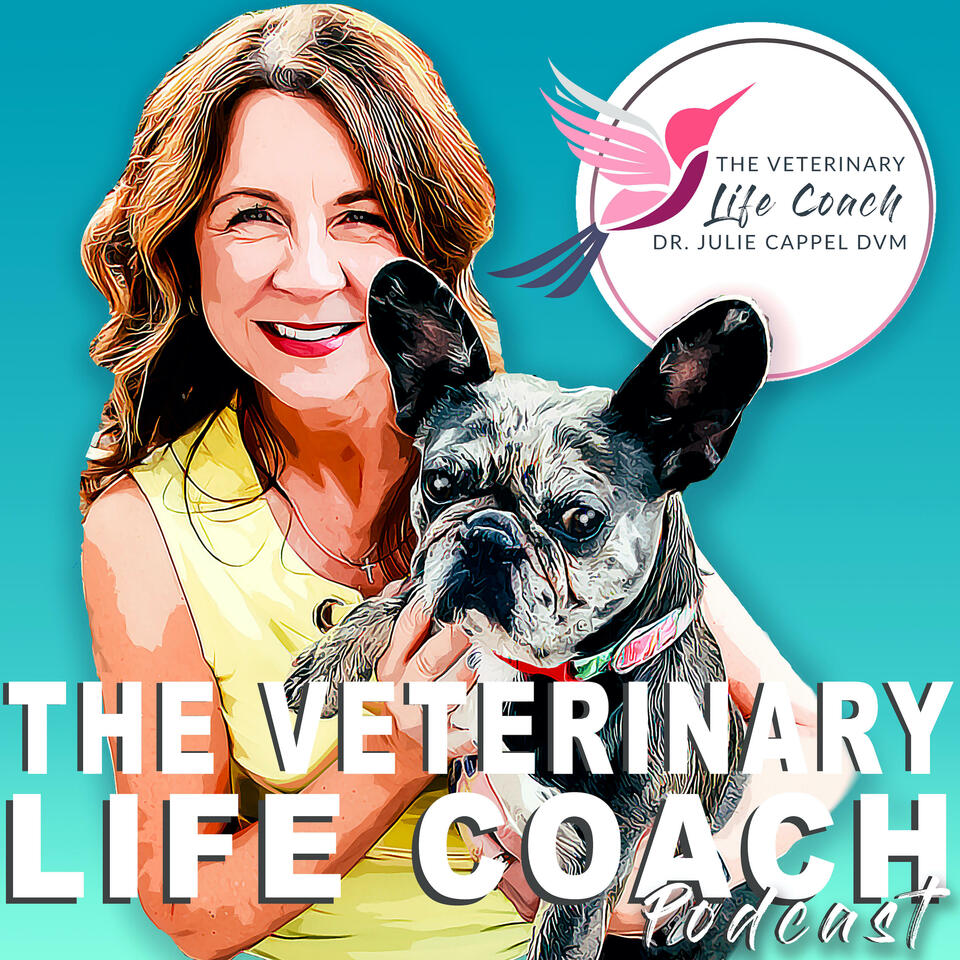 The Veterinary Life Coach Podcast