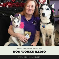 The Sibe Vibe: Nanette Willis - Dog Works Radio