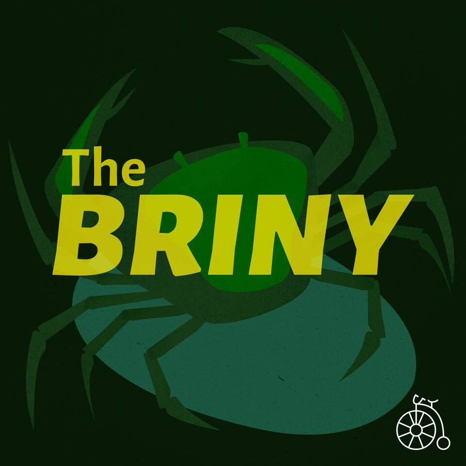 The Briny