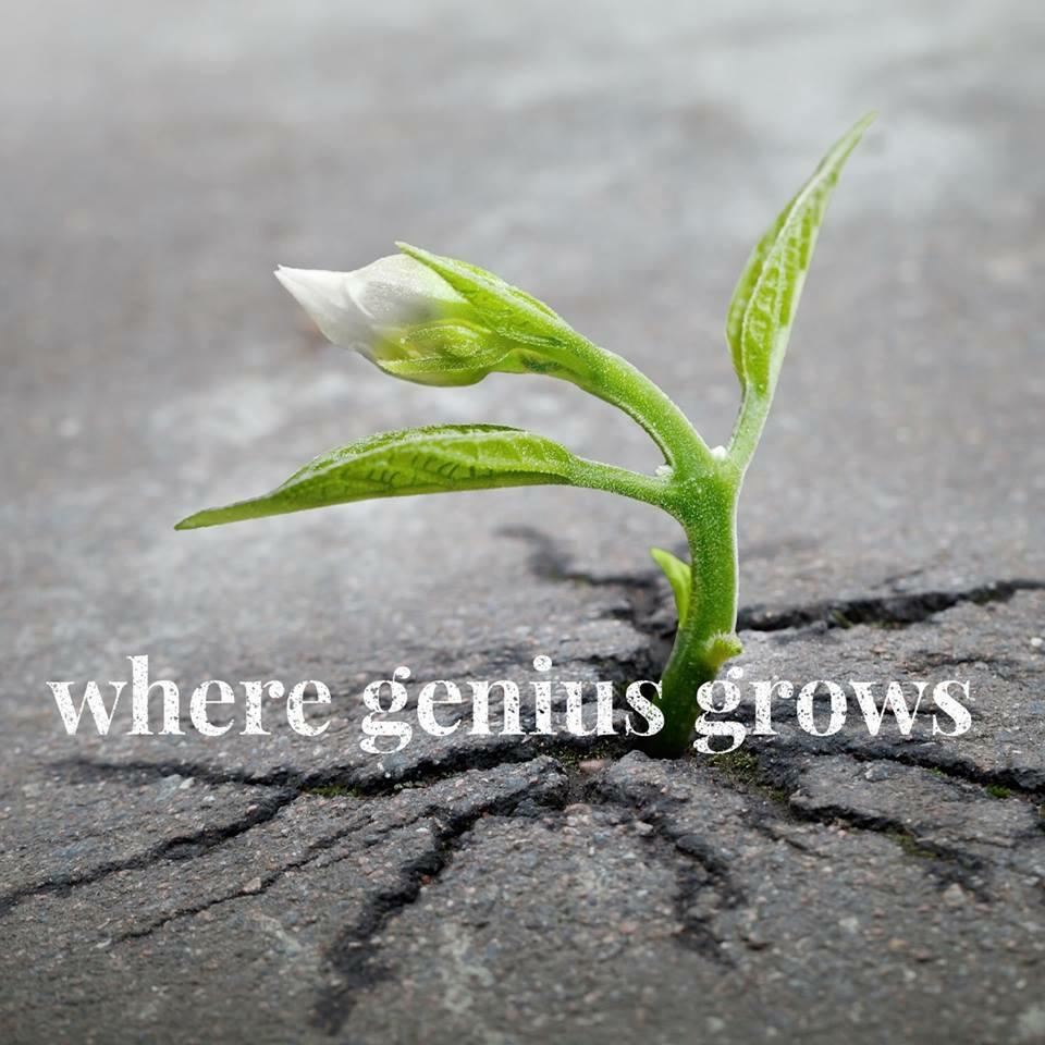 Where Genius Grows
