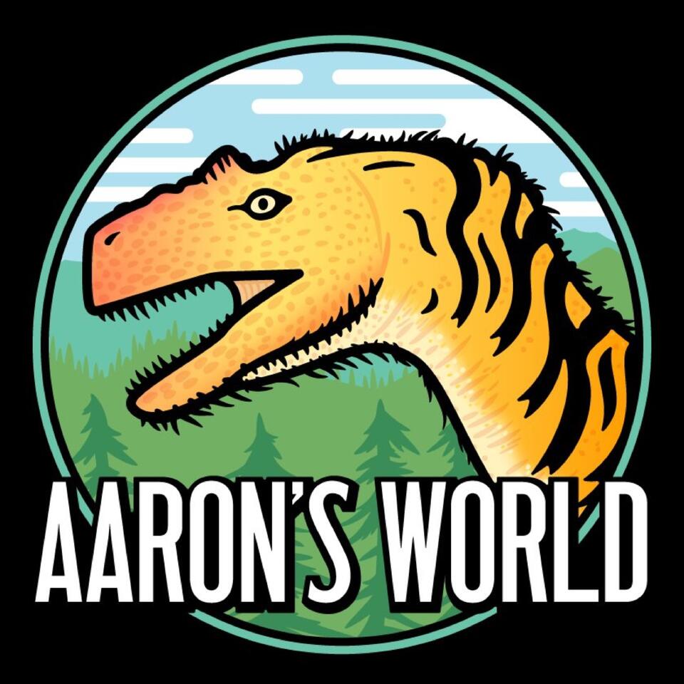 Aaron's World