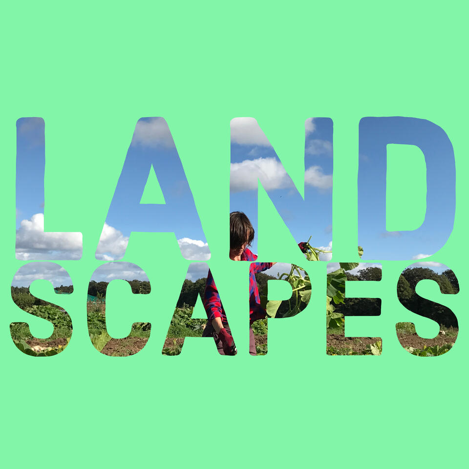 Landscapes