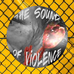 The Sound of Violence