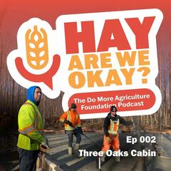 Three Oaks Cabin: A Quiet Place to Rest - Hay Are We Okay?