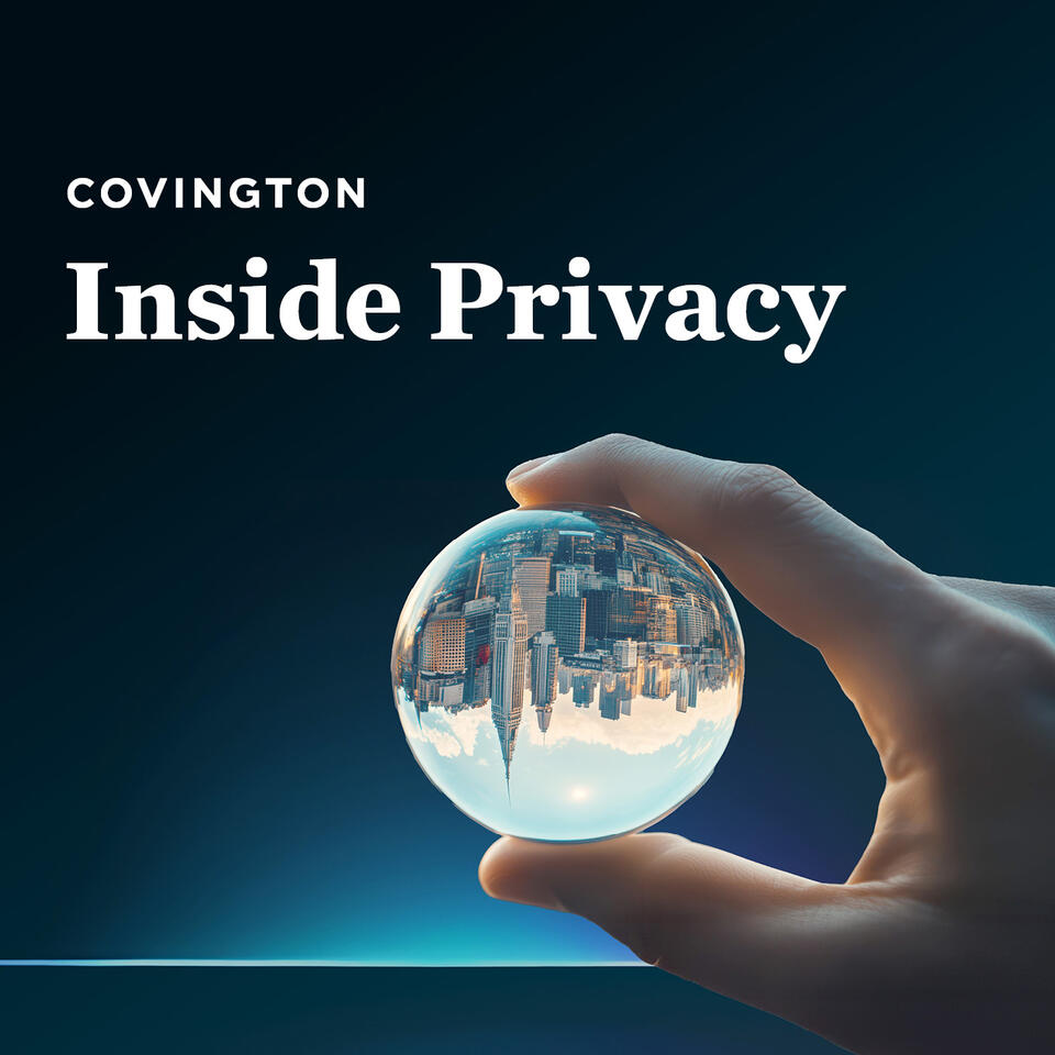 Inside Privacy: Through the Looking Glass
