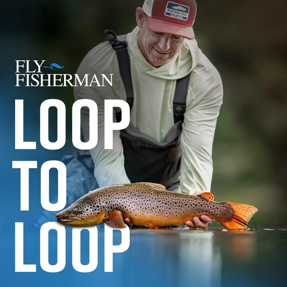 Loop to Loop