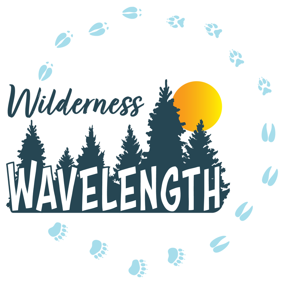 Wilderness Wavelength