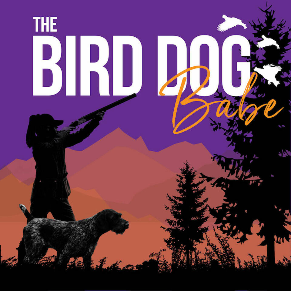 The Bird Dog Babe