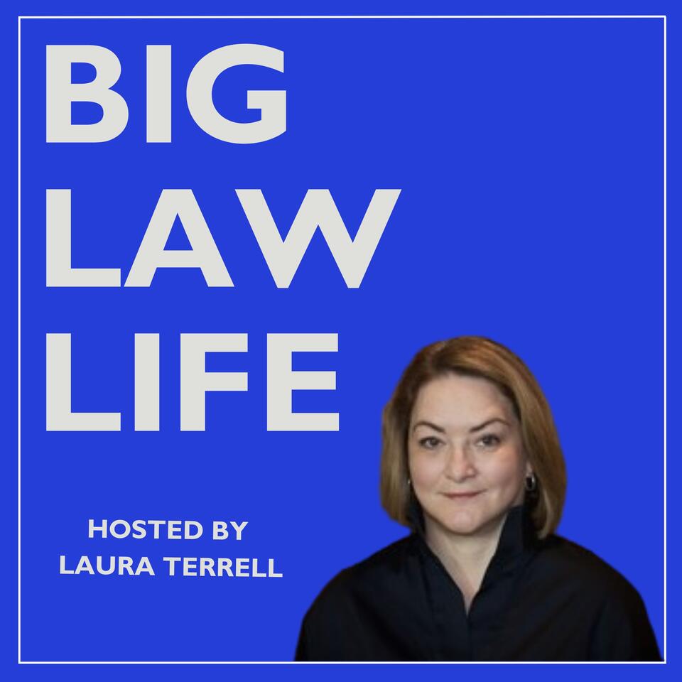 Big Law Life