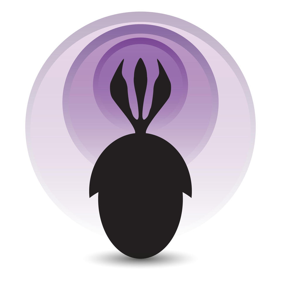 Palaeocast
