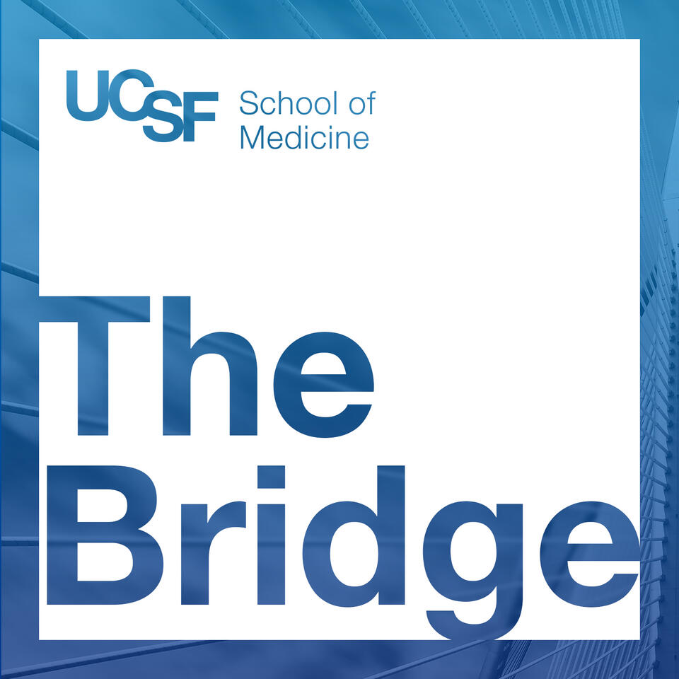 The Bridge