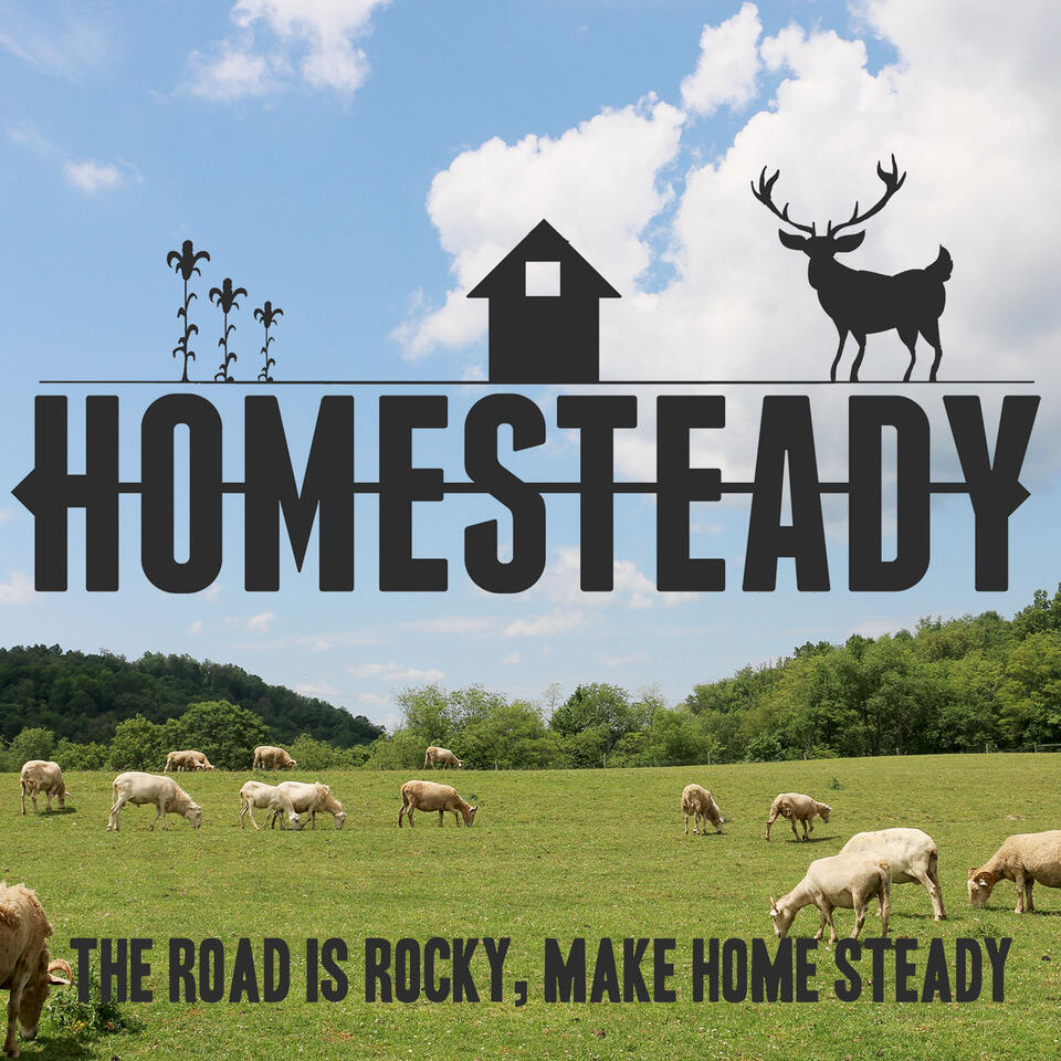 Homesteady - Stories of Living off the Land