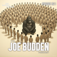 The Joe Budden Podcast