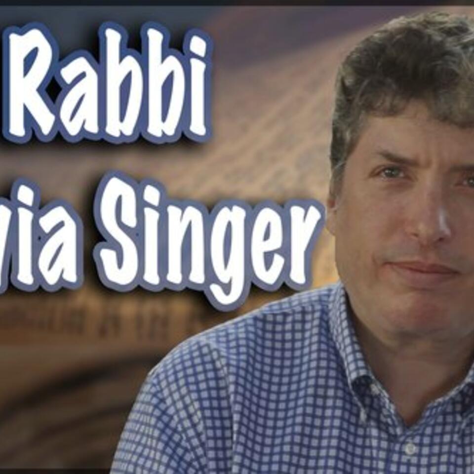 Rabbi Tovia Singer