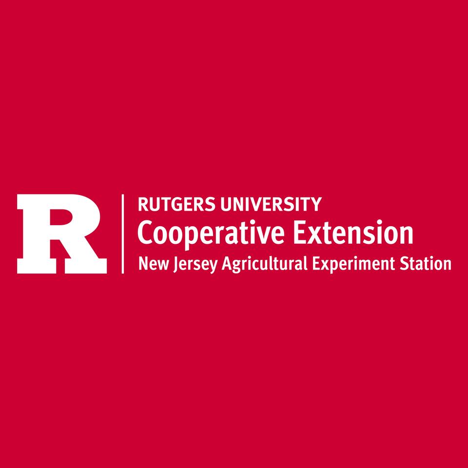 RCE Extension 360