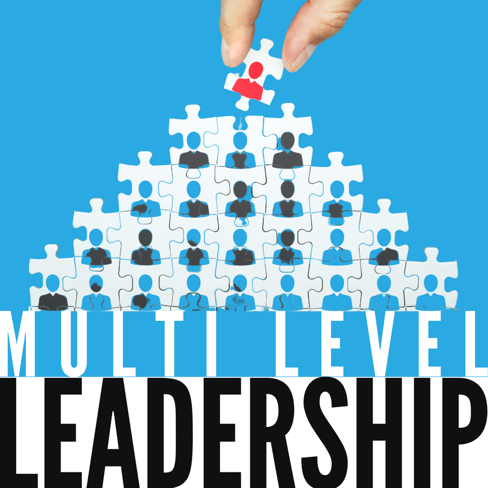 Multi Level Leadership