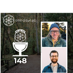 Seeds of Tao: Impact entrepreneurs seeding regenerative paths beyond sustainability