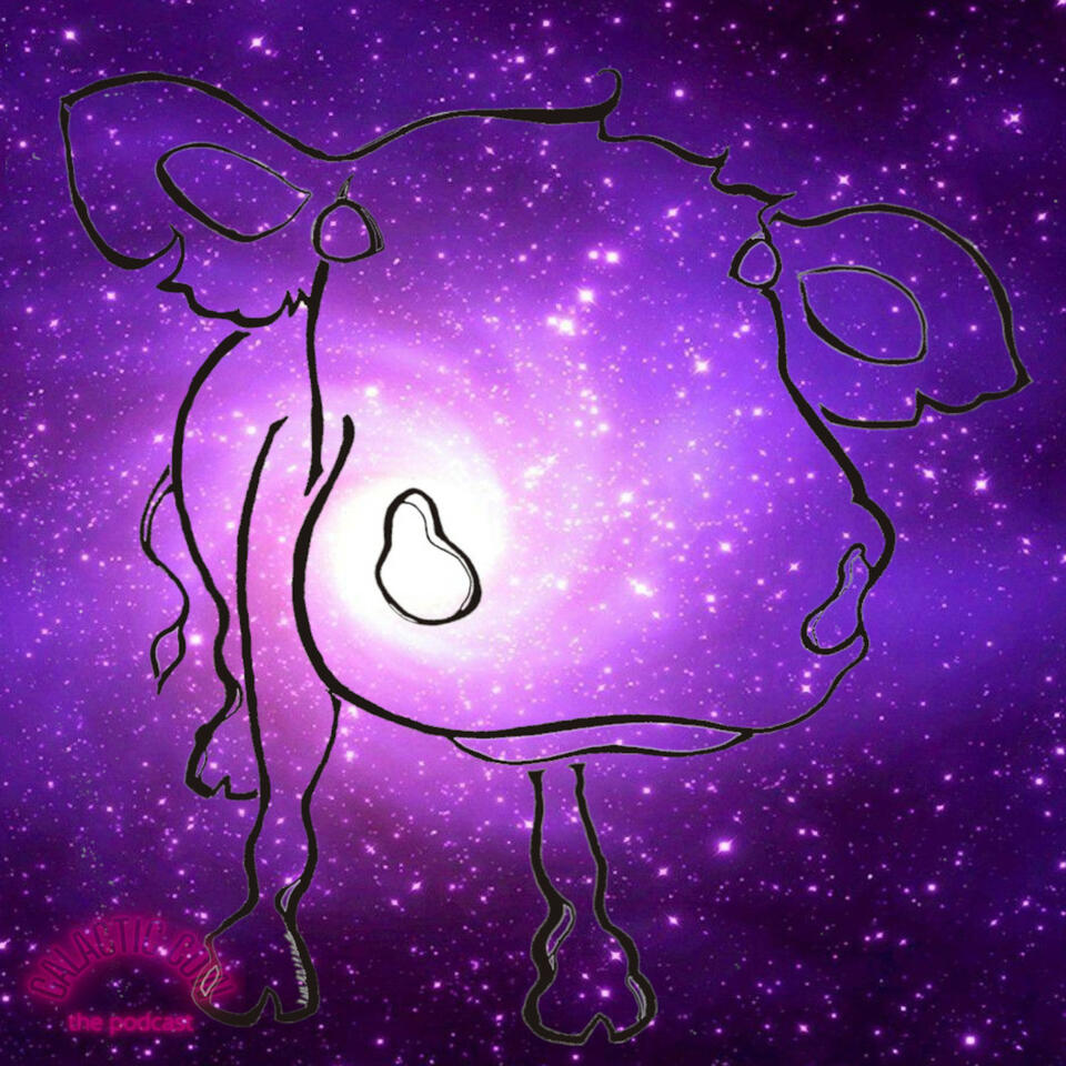 The Galactic Cow: Conversations about teaching, the Universe, and everything