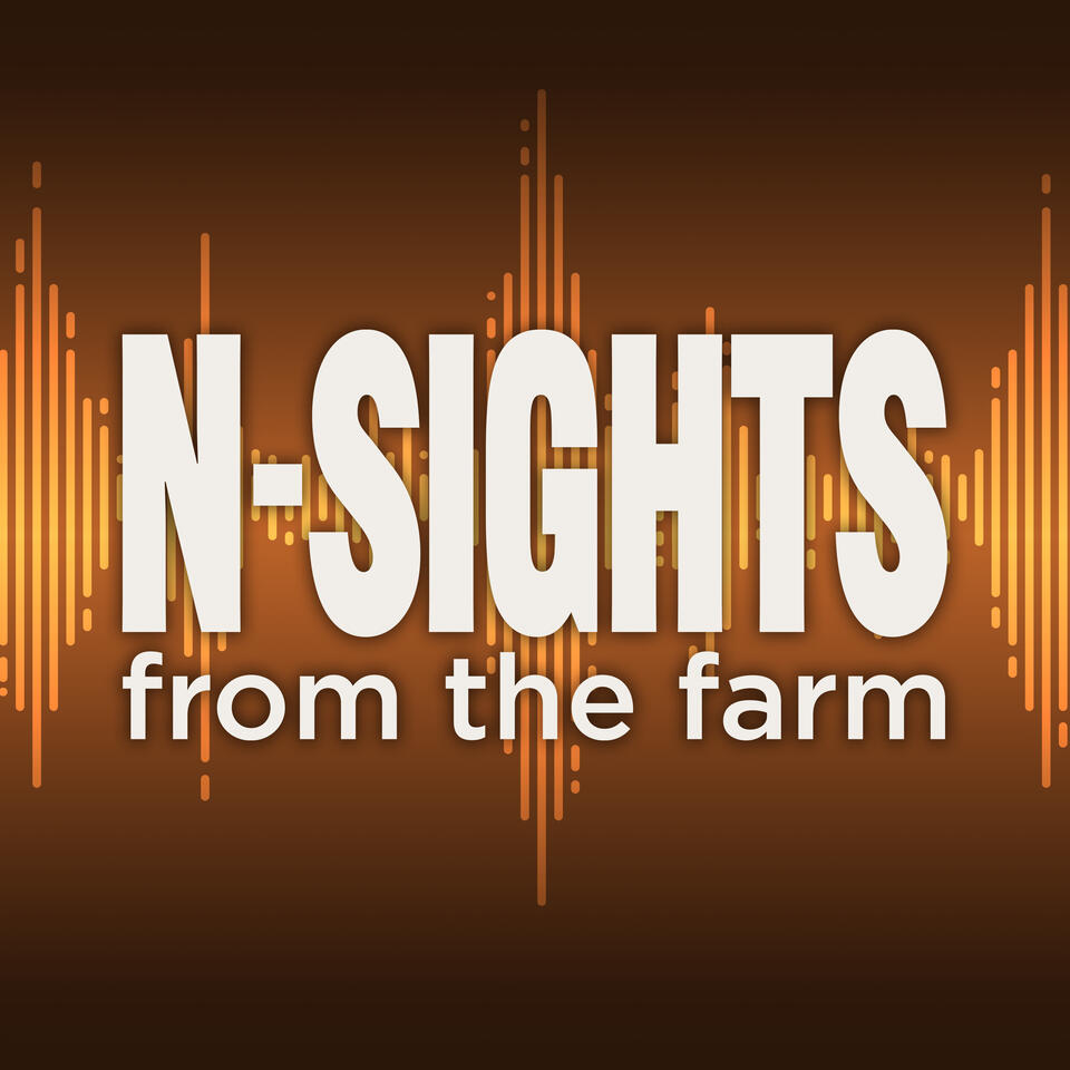 N-SIGHTS from the farm