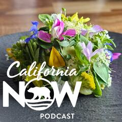 California Now Podcast