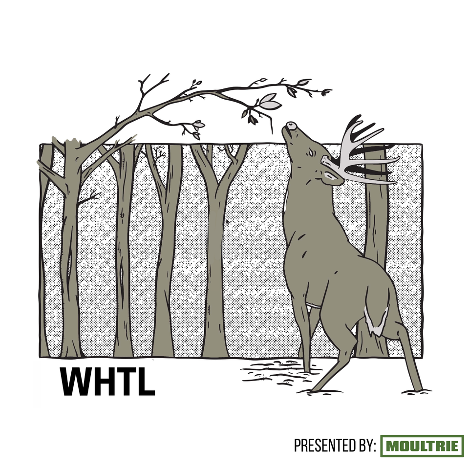The WHTL Podcast - Whitetail Deer Hunting Tactics, Stories & Expert Guests
