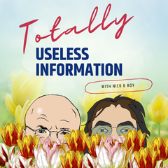 Season 6- Episode 5 - Totally Useless Information with Nick & Roy