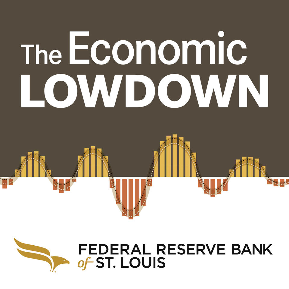 Economic Lowdown