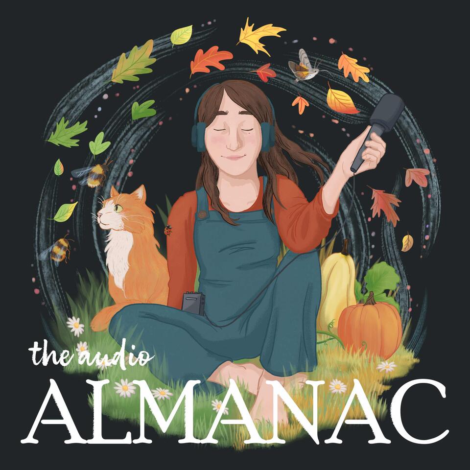 The Audio Almanac