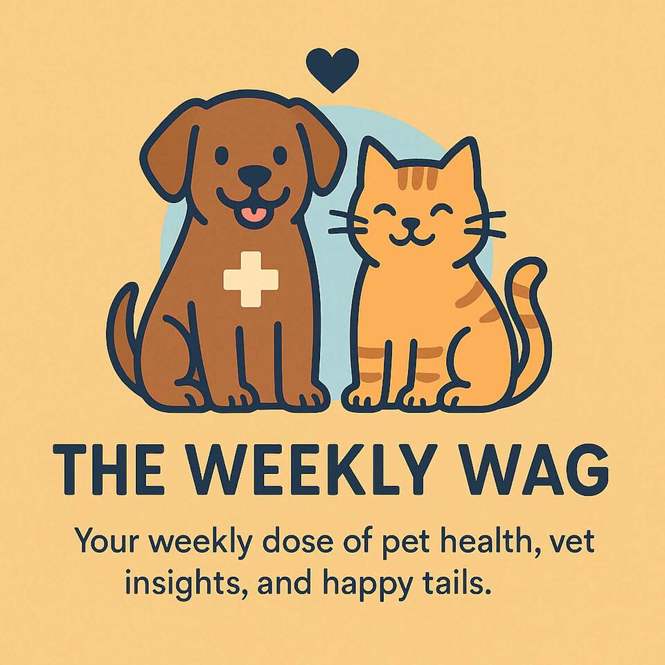 The Weekly Wag