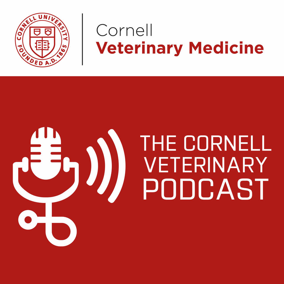 The Cornell Veterinary Podcast