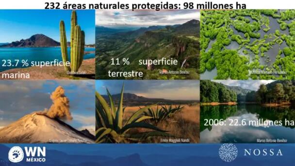 Advierten asfixia financiera a las Áreas Naturales Protegidas en PPEF: sólo