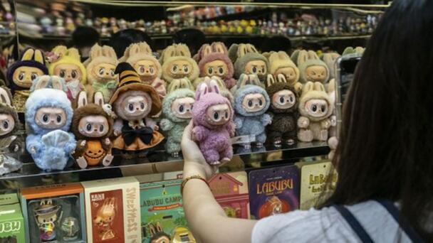 Labubu Bust: $9000 of Collectible Dolls Unearthed After Police Raid