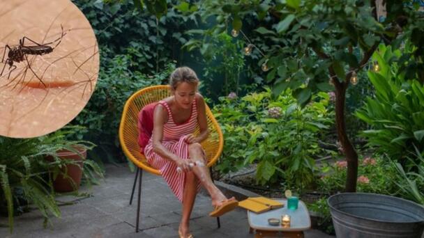Surprising Things That Attract More Mosquitos