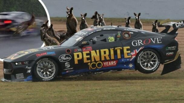 Watch the Heart-Stopping Bathurst 1000 Kangaroo Near-Miss The Broadcast Did
