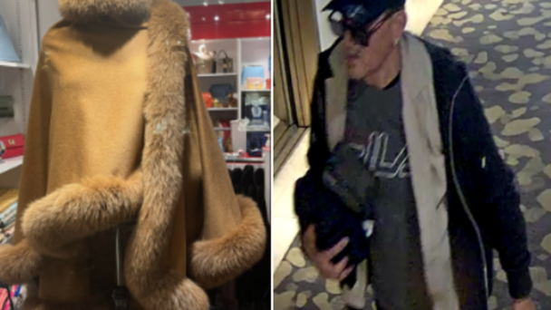 VicPD search for suspect linked to luxury item theft