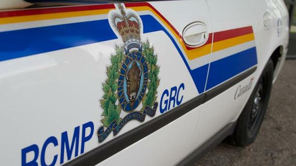 Sidney suspect faces charges after ramming cruiser and fleeing RCMP