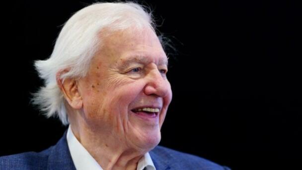 Sir David Attenborough’s Final On-Location Shoot Revealed
