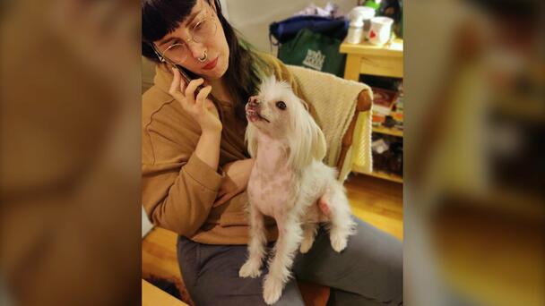Montreal SPCA backs tenant fighting no-pets clause at housing tribunal 