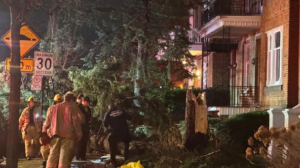 Tens of thousands of Quebec addresses without electricity after windstorm