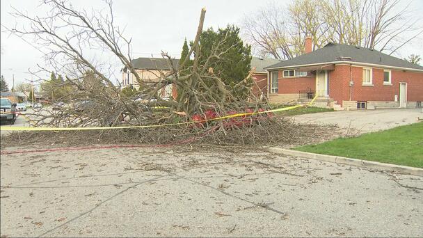 About 1,400 customers still without power in Toronto after spring storm