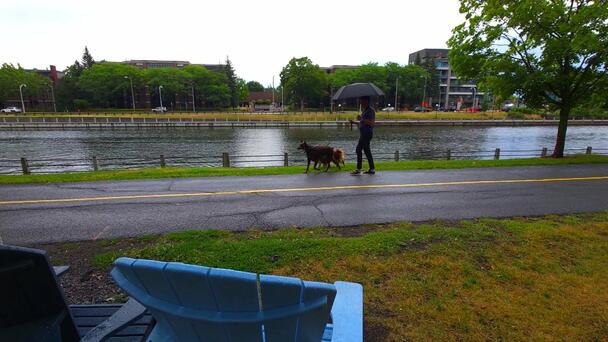 Ottawa could see 10-20 mm of rain today