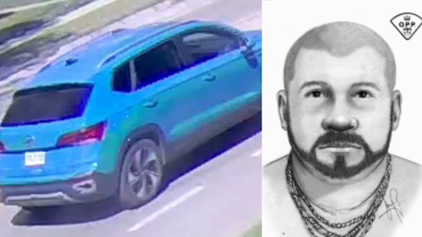 OPP investigating robbery in Leamington