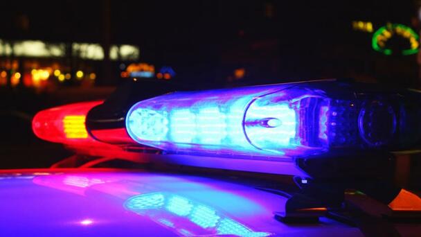 Dog shot and killed during police investigation in Windsor 